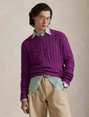 POLO RALPH LAUREN Sweter | Regular Fit