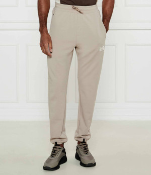 EA7 Spodnie dresowe | Regular Fit