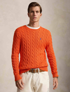 POLO RALPH LAUREN Sweter | Regular Fit