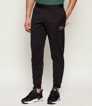 EA7 Spodnie dresowe | Regular Fit