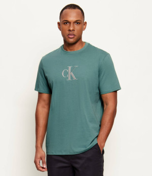 Calvin Klein T-shirt | Regular Fit