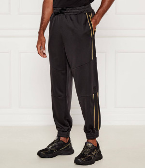 EA7 Spodnie dresowe | Regular Fit