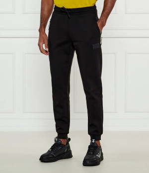 EA7 Spodnie dresowe | Regular Fit