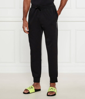Emporio Armani Spodnie dresowe | Regular Fit