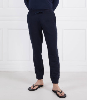 Emporio Armani Spodnie dresowe | Regular Fit