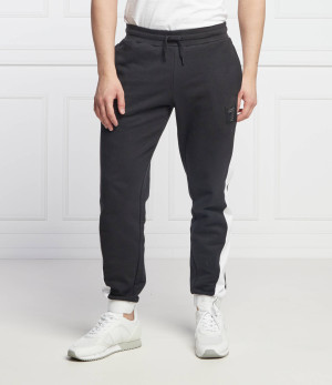 EA7 Spodnie dresowe | Regular Fit
