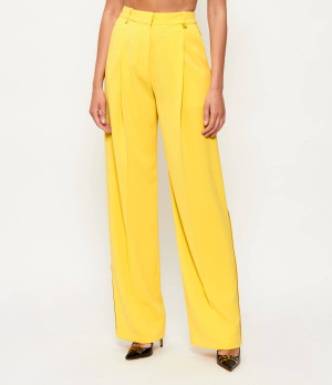 Elisabetta Franchi Spodnie | Relaxed fit