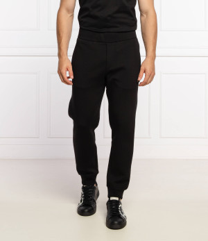 Emporio Armani Spodnie | Regular Fit