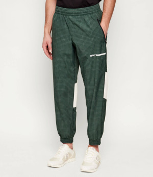 EA7 Spodnie dresowe | Regular Fit
