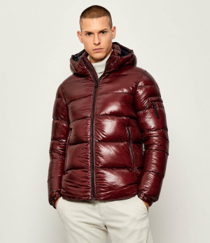 Hetrego Puchowa kurtka SCOTT | Regular Fit
