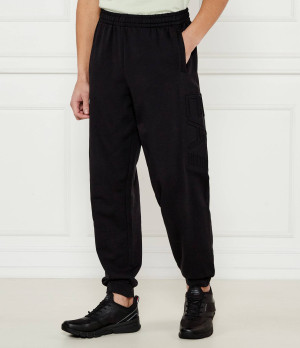 EA7 Spodnie dresowe | Regular Fit