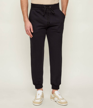 Iceberg Spodnie dresowe | Regular Fit