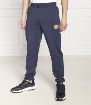 EA7 Spodnie dresowe | Regular Fit