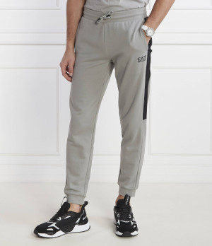 EA7 Spodnie dresowe | Regular Fit