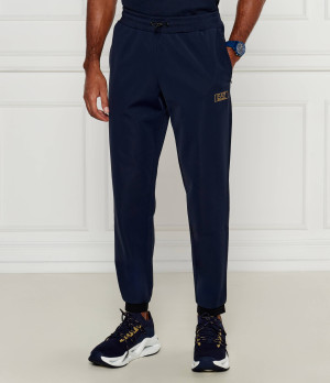 EA7 Spodnie dresowe | Regular Fit