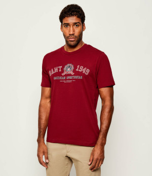 Gant T-shirt GRAPHIC | Regular Fit