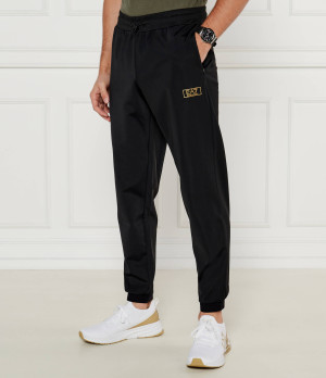 EA7 Spodnie dresowe | Regular Fit