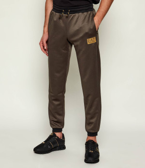EA7 Spodnie dresowe | Regular Fit