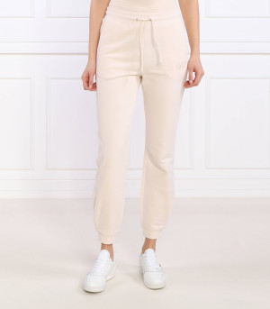 EA7 Spodnie dresowe | Regular Fit