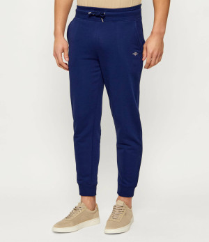Gant Spodnie dresowe | Regular Fit
