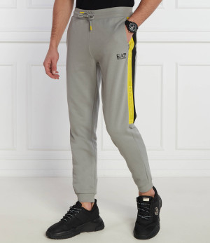 EA7 Spodnie dresowe | Regular Fit