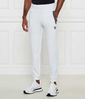 EA7 Spodnie dresowe | Regular Fit