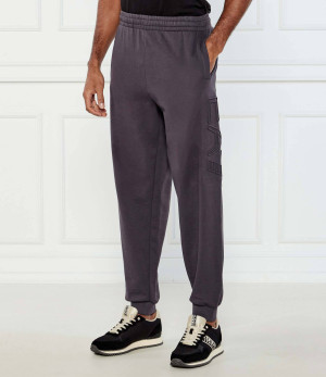 EA7 Spodnie dresowe | Regular Fit