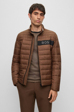 BOSS BLACK Kurtka Darolus | Regular Fit