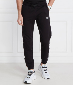 EA7 Spodnie dresowe | Regular Fit