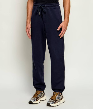 Iceberg Spodnie dresowe | Regular Fit