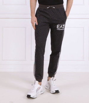 EA7 Spodnie dresowe | Regular Fit