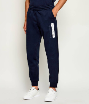 EA7 Spodnie dresowe | Slim Fit