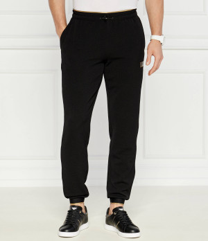 EA7 Spodnie dresowe | Regular Fit