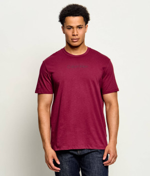 Calvin Klein T-shirt | Classic fit