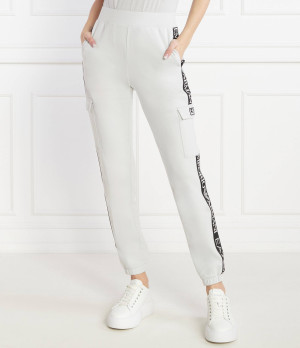EA7 Spodnie dresowe | Regular Fit