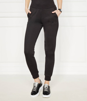 EA7 Spodnie dresowe | Regular Fit