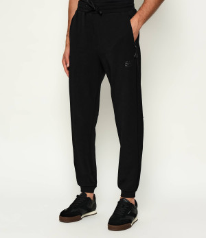 EA7 Spodnie dresowe | Regular Fit