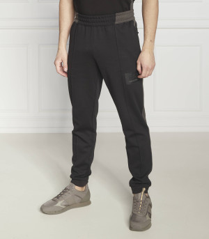 EA7 Spodnie dresowe | Regular Fit