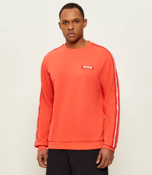 EA7 Bluza | Regular Fit
