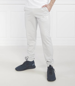 EA7 Spodnie dresowe | Regular Fit