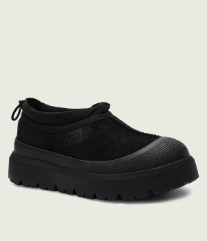 UGG Śniegowce TASMAN | zamsz