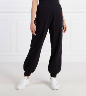 EA7 Spodnie dresowe | Regular Fit