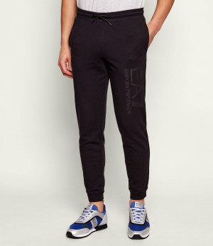 EA7 Spodnie dresowe | Slim Fit
