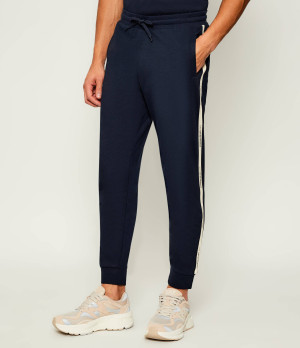 EA7 Spodnie dresowe | Regular Fit