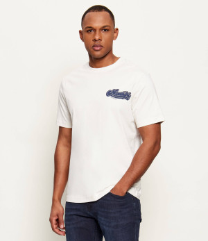 Napapijri T-shirt S-ZINC | Relaxed fit