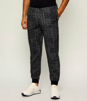 EA7 Spodnie dresowe | Regular Fit