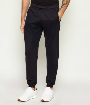 EA7 Spodnie dresowe | Slim Fit