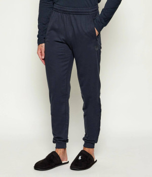 EA7 Spodnie dresowe | Slim Fit