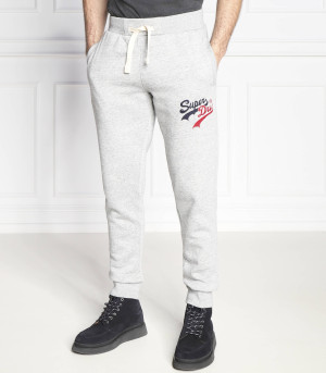 Superdry Spodnie dresowe | Regular Fit