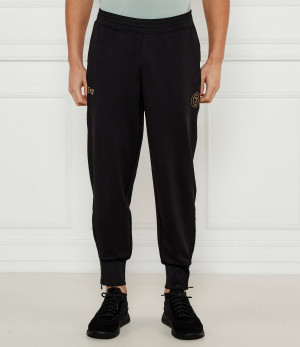 EA7 Spodnie dresowe | Regular Fit